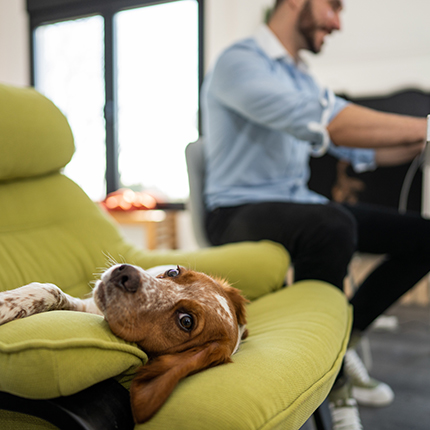 Man and dog in home